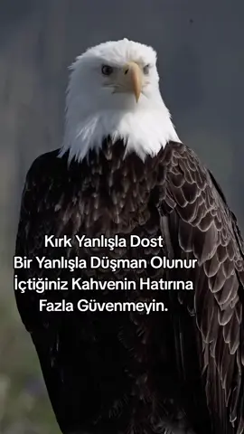 #🦅 #keşfetteyizzz #tiktokviral #fypシ゚ 