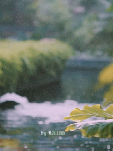 ewb by ‪@gmmtvofficial‬ is something you can really feel and relate to. It’s absolutely beautiful. thank you, JJJ, for putting your whole hearts into this and giving us something we can truly feel. I’m gonna miss Lal, Wine, Proud, and Tangkwa. @jingjingyuofficial @ciizezphr6 @kapookploynira @janhae #enemieswithbenefits #janjingjing #janjingjingedit #kapookciize #gmmtv #thaigl #wlw #aesthetic #aestheticedits #enemieswithbenefitsedit