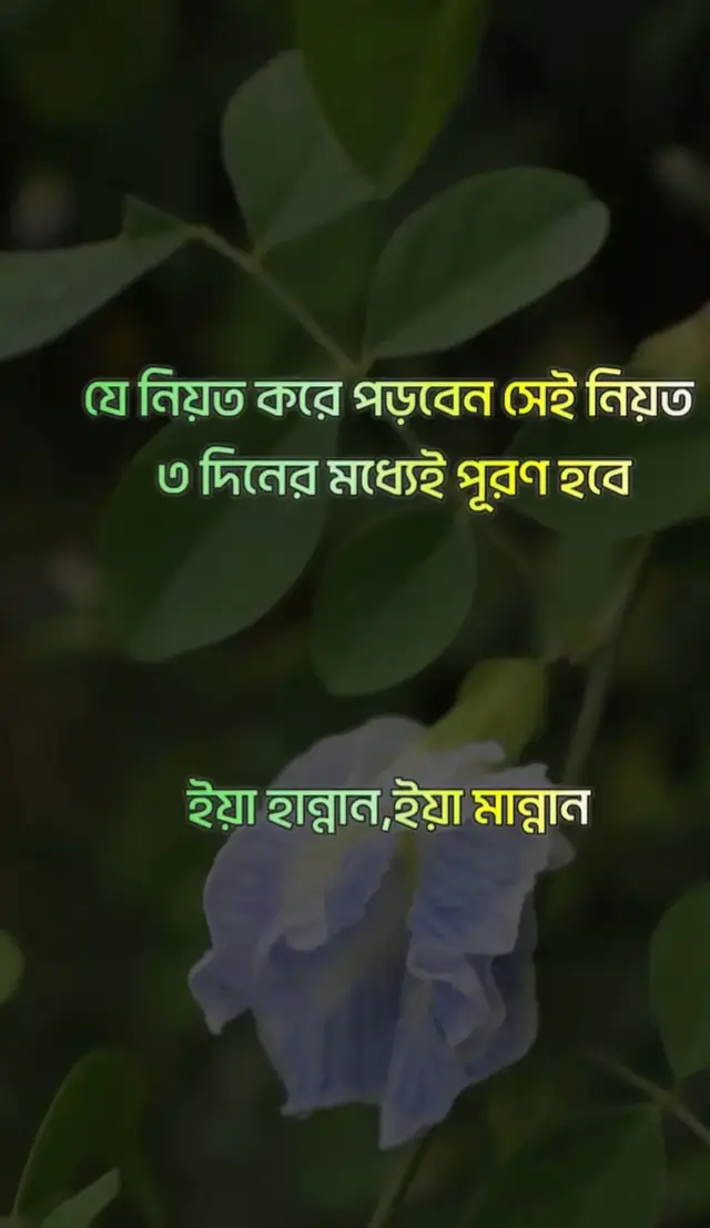 সুবহানাল্লাহ @Nusrat Jahan @🌿 