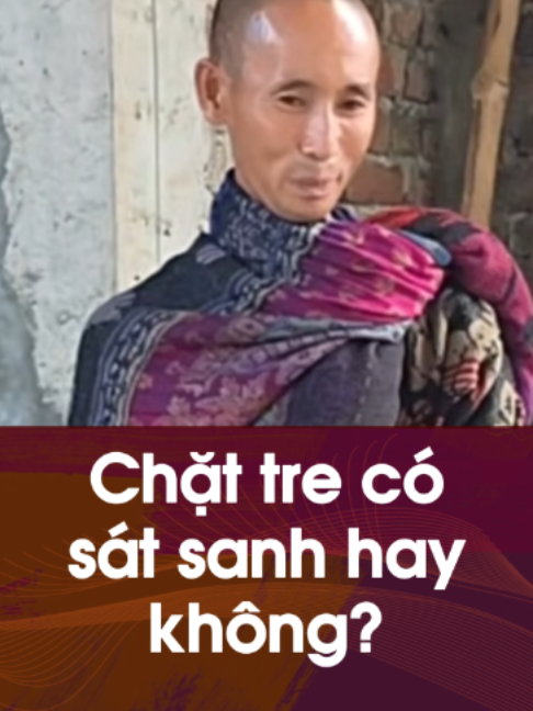 Hỏi hg Minh Tuệ chặt tre có sát sanh hay không?#ebook25 #thichminhtue #13_Hạnh_Đầu_Đà