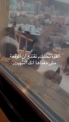 هناك أشخاص لا تُقاس قوتهم بعدد انتصاراتهم، بل بعدد المرات التي سقطوا فيها ثم قرروا الوقوف مرة أخرى. هو الشخص الذي خذلته الحياة مرات، لكنه لم يسمح للخذلان أن يتحول إلى هويته. بكى، وتألم، واهتز، لكنه لم يفقد إيمانه بأن غدًا قد يحمل فرصة جديدة. ليس لأنه لا يشعر بالألم، بل لأنه يرفض أن يجعل الألم نهاية الطريق. يحمل قلبًا مليئًا بالندوب، لكنه ما زال قادرًا على الحلم. كل مرة أُغلِق في وجهه باب، بحث عن نافذة. وكل مرة انطفأ فيها جزء منه، أشعل داخله سببًا جديدًا للاستمرار. يعرف أن الطريق ليس سهلًا، وأن العدالة لا تأتي دائمًا في وقتها، وأن الناس قد يخذلون، لكن أمله لا يعتمد على الناس وحدهم، بل على يقينه بأن الله لا يضيع سعيًا صادقًا. هو ليس شخصًا لا ينكسر، بل شخص تعلّم كيف يجمع شتات نفسه بعد كل انكسار. يعافر، ويتعب، ويستريح قليلًا، ثم يعود ليكمل. وأجمل ما فيه أنه لم يسمح لقسوة ما مر به أن تُفسد قلبه، ولم يسمح لليأس أن يسرق منه حقه في المحاولة. هذا الشخص لا يحتاج إلى الشفقة، بل إلى التقدير… لأن كل خطوة يخطوها هي انتصار على الاستسلام، وكل صباح يستيقظ فيه ليحاول من جديد هو دليل على شجاعة لا يراها إلا من عرف معنى المعاناة. وإذا كان هناك وصف يليق به، فهو: “إنه الشخص الذي اختار الأمل، رغم أن الحياة أعطته ألف سبب لليأس.”#الامل #الثقه_بالله_نجاح #livehighlights #اكسبلور 