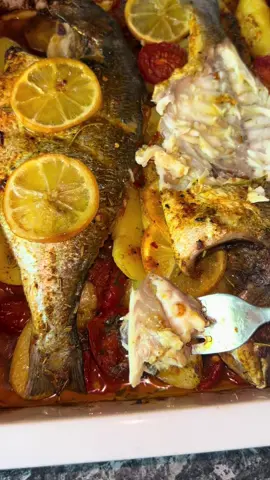 🐟 Protein-Power aus dem Meer 🌊 💪 Lecker, einfach und  schnell 😋✨ Zutaten: * 2 mittelgroße Doraden * Gekochte Kartoffeln * Kirschtomaten * Zitrone & eingelegte Zitrone * 2 Knoblauchzehen * Frischer oder getrockneter Rosmarin * 1 TL Harissa * 1 EL gehackter Koriander oder Petersilie * Olivenöl * Zitronensaft * Ein Schuss Wasser Gewürze: * Je 1 gestrichener TL Paprikapulver, Ingwerpulver, Ras el Hanout und Kurkuma * Salz und Pfeffer nach Geschmack Zubereitung: Alles wie im Video zubereiten. Die Auflaufform mit einem Deckel oder Alufolie abdecken und bei 200 °C Umluft ca. 30 Minuten backen. Anschließend aufdecken und noch einige Minuten goldbraun backen. #dorade #fischسمك#mrocaine🇲🇦 #EasyRecipes #fyp