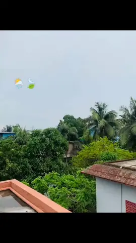 🌦️🍃#বৃষ্টি  #viralvideo #vairalveidoforyoufage 