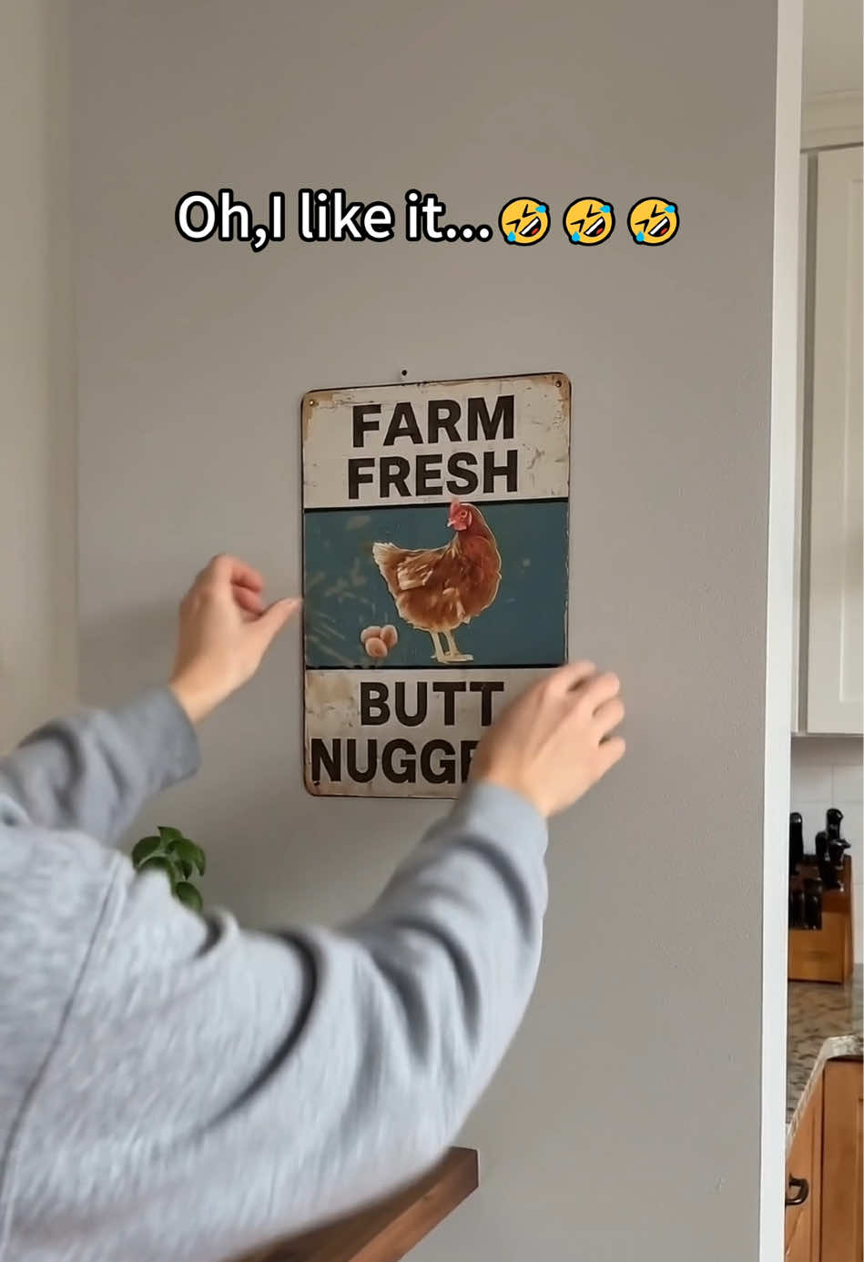 I like…😂😂😂#funnysigns #kitchendecor #homedecor #giftguide #chickensoftiktok 