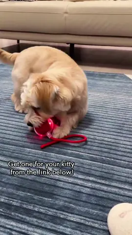My dog was way too hyper today, so I tossed this little electric toy ball on the floor… and he went crazy for it 😂🐶 #slinkydogtoystory #teasertoyforcat#squishytoyreview#balltoy#cattoyfinds