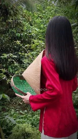Về miền Tây hong mình? #wlw #mientay 