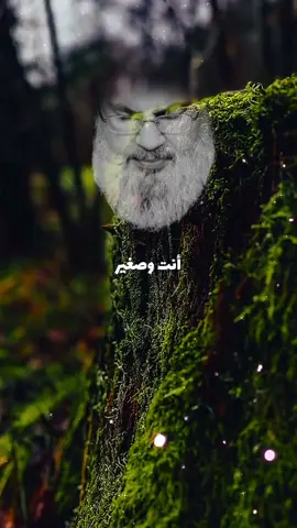 يا عمري💔#سماحة_العشق #🥀🖤 