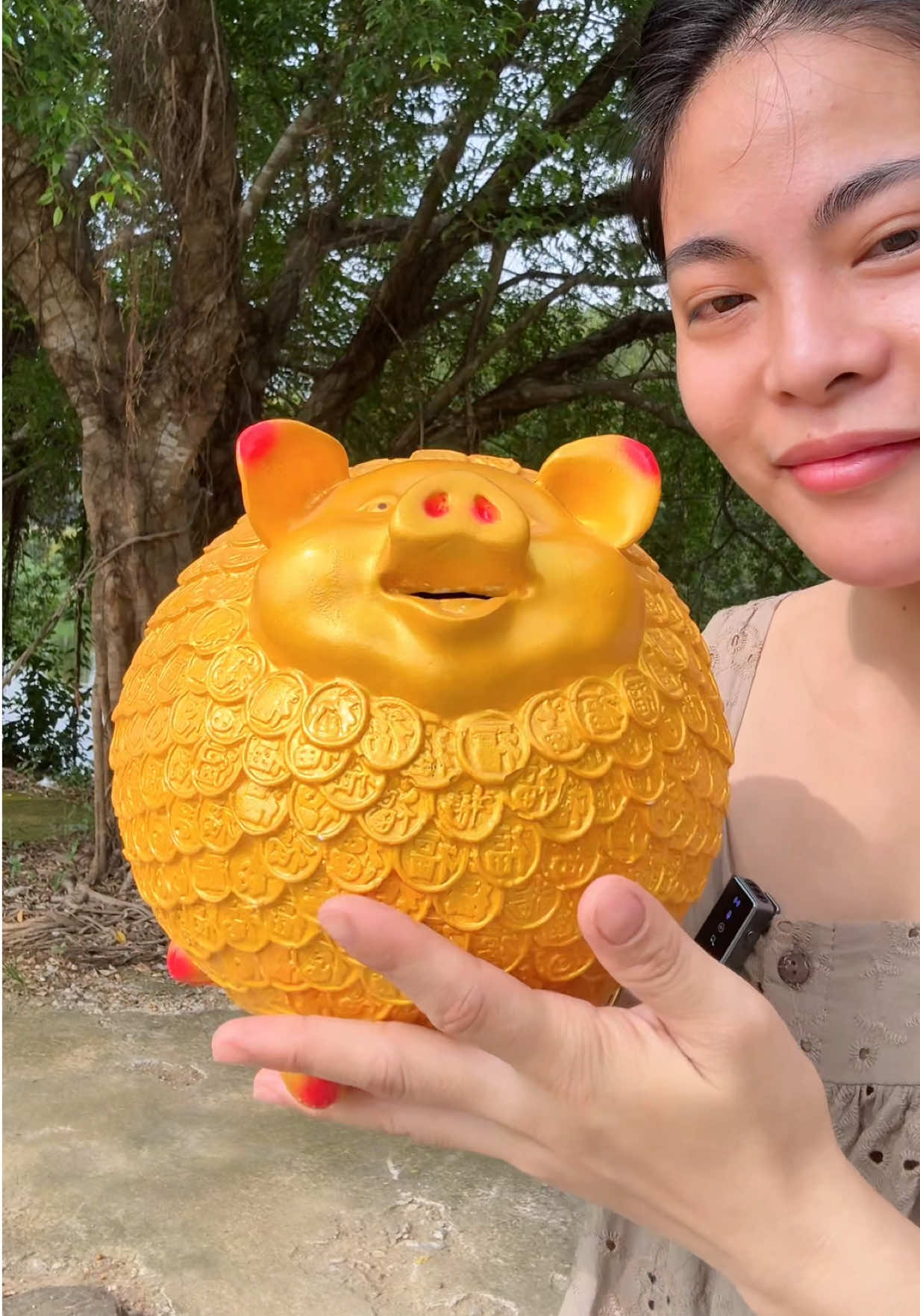 Rất là ấn tượng những em heo nào nhét tiền bằng miệng #heotietkiem #heoxinhnhaphuong #heothachcao 