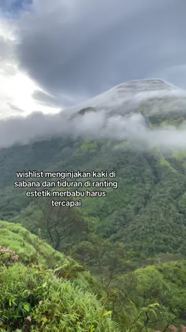 tolong pengin banget ke merbabu😭😭 #fyp #pendakigunung #merbabumountain #foryoupage #masukberanda 