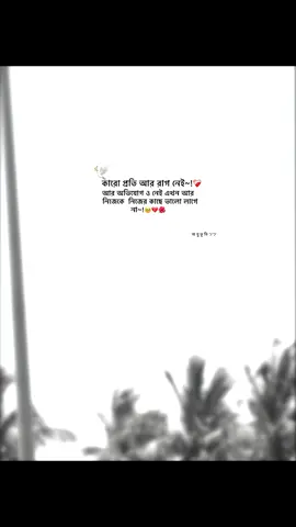হুম~!❤️‍🩹💔 #vaiprofycaramba #foryou #fyp #@TikTok #@TikTok Bangladesh 