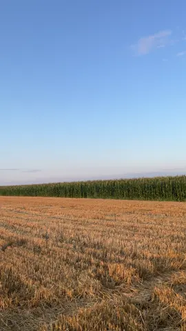 Svaka rec bi bila suvisna#serbia🇷🇸 #fyp #imt5136 #farmlife #brena 