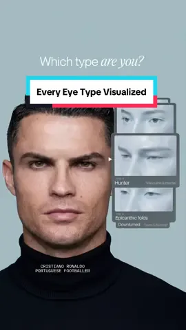 Every Eye Type Visualized