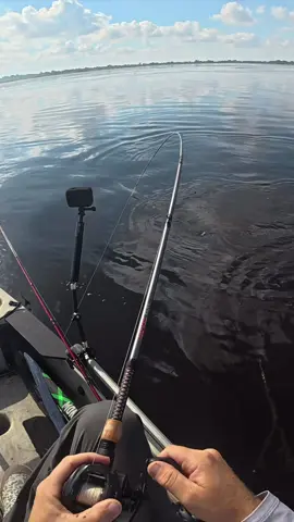 Does it get any better than this? Shoutout to @Pelican Bone Oudoors putting his favorite Ugly Stik Elite to work💪 #uglystik #uglystikelite #inshorefishing #redfish #uglyneverquits 