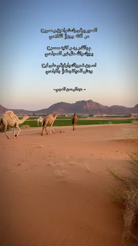 #عبدالرحمن_العجي #ابو_فهيد #حائل 