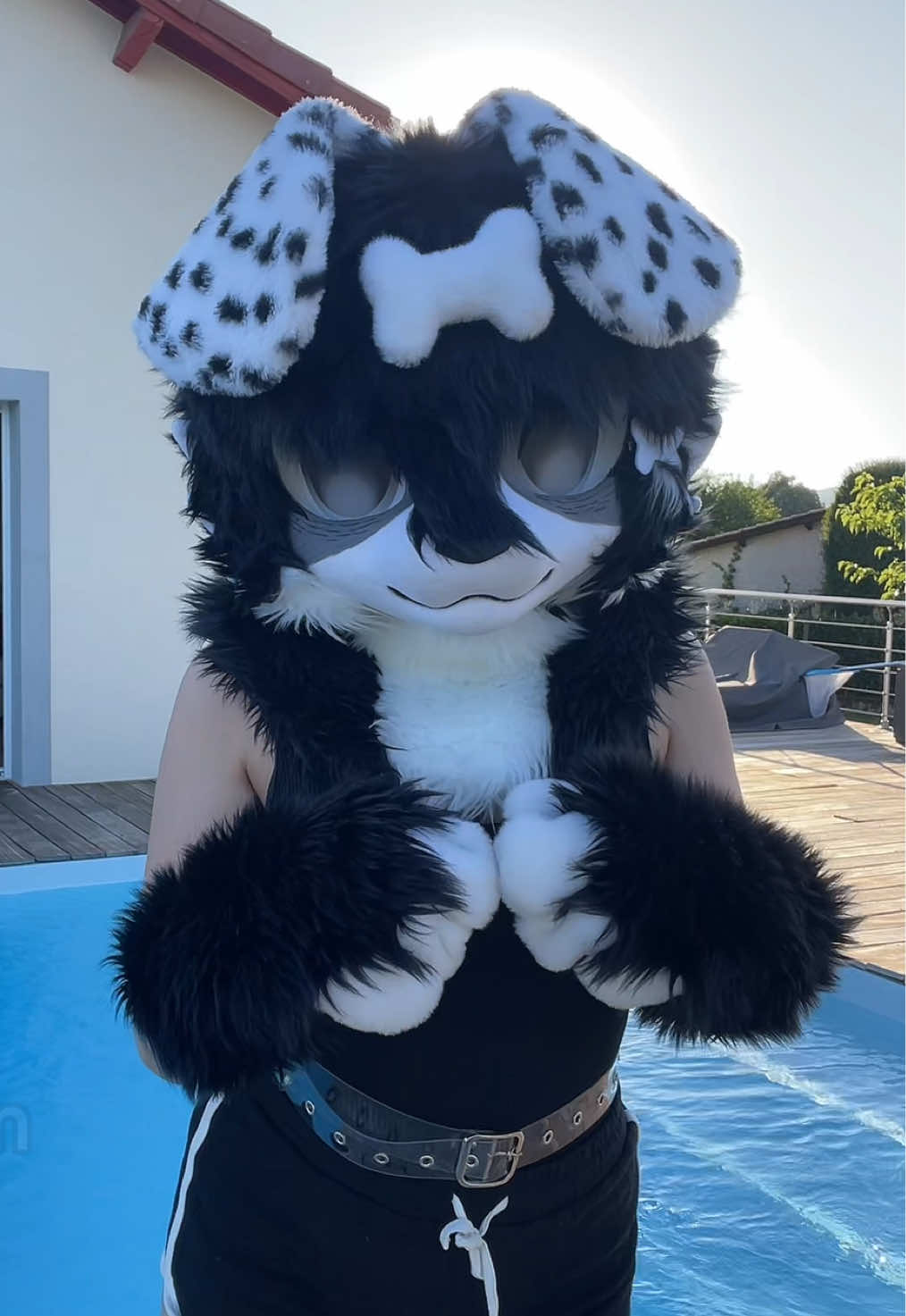 x3 #furry #fursuit #fyp #cute #meow 