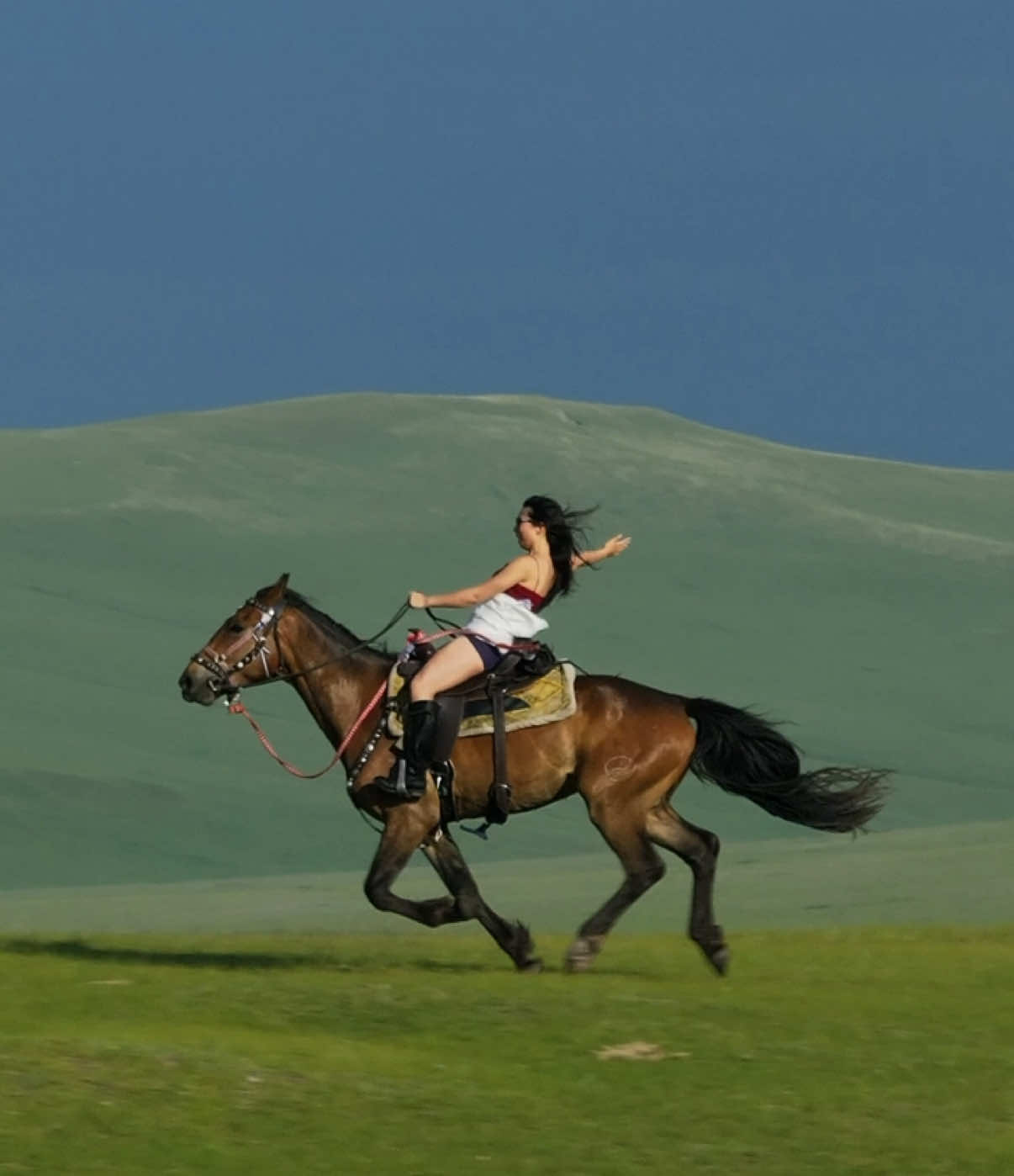 horseback riding in china > hulunbuir, mongolia  多少人能懂大草原的幸福与自由 #horsebackriding #mongolia #fyp #horseback #horsetok 