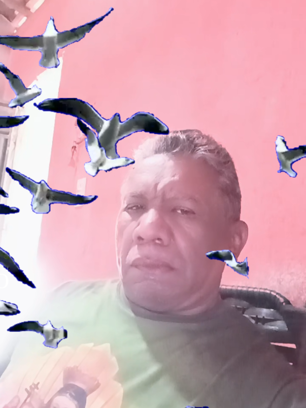 #viraltiktok 