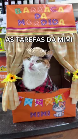 Mimi é a rainha da produtividade no trabalho!  #gatinhaclt #gatos 