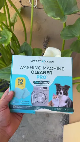 Super recomendadas #cleaner #fyp #uprootclean #cleanpro #creatorsearchinsights 