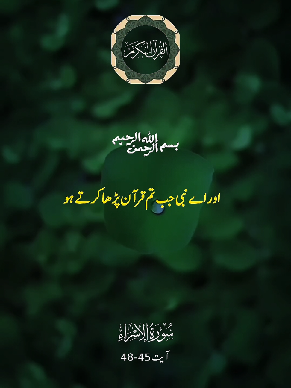 #CapCut #quran #islamic_video #tiktok #foryou 