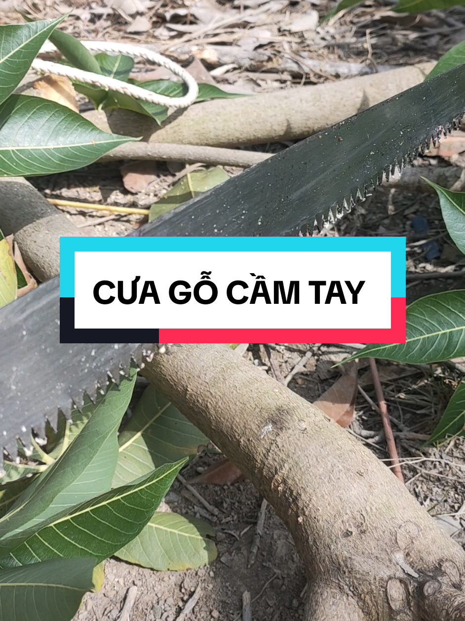 Cưa gỗ cầm tay sử dụng Cưa cành cưa củi, tỉa nhánh giá rẻ #xuhuớng #cuacamtay #cuagocamtaytiacanh #cuagocamtaygiare #shopminhphuong1978 