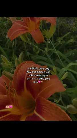 Solo ati 🫶🏻💗#paratii #parejas #frasesdeamor #dedicarvideos♡ #videosdeamor 