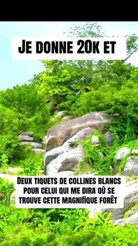 #viral #live #foret @collineenblanc @Mr LeMaire 👨‍💼🇧🇯🇨🇦 @chancelle omon idaacha 💋💋  @Ville de Glazoué !  @wizzy_drums 