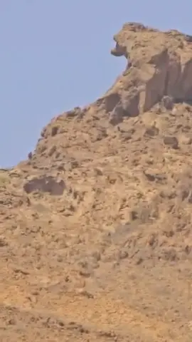 من مقناص شباب وادي عتاب
