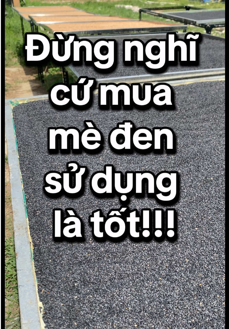 Muốn hấp thụ được công dụng tốt của mè đen thì trước tiên phải lựa chọn dòng mè đen tự nhiên thuần chủng tránh  việc lựa chọn mi đen nhuộm màu không chất lượng ##meden##medentunhien##medenthuanchung##baotam##suckhoe