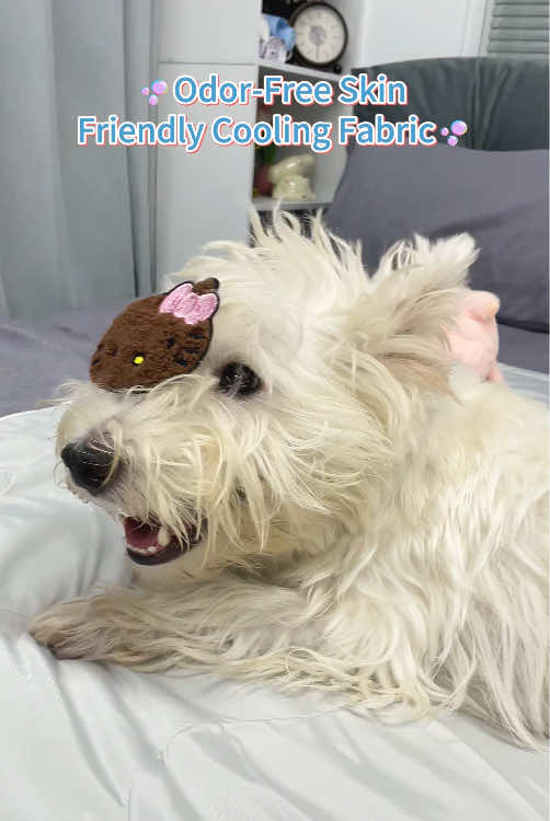 Machine washable LESURE cooling blanket won’t lose its cooling effect after repeated cleaning.  #TikTokMadeMeBuyIt #DogMom#BudgetFinds#SummerVibes#Beduse 