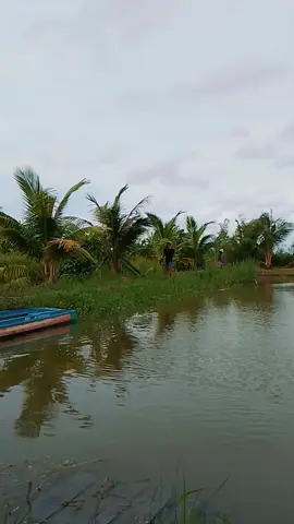 cho chừa cái tật cà khịa he 😆🤣@Huỳnh tâm @Nguyễn Tế 34560 #hocau69 #caucagiaitri #lurefishing #dammecauca #xuhuong 