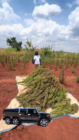 Abamanja mulindeko nange nina bemanja..