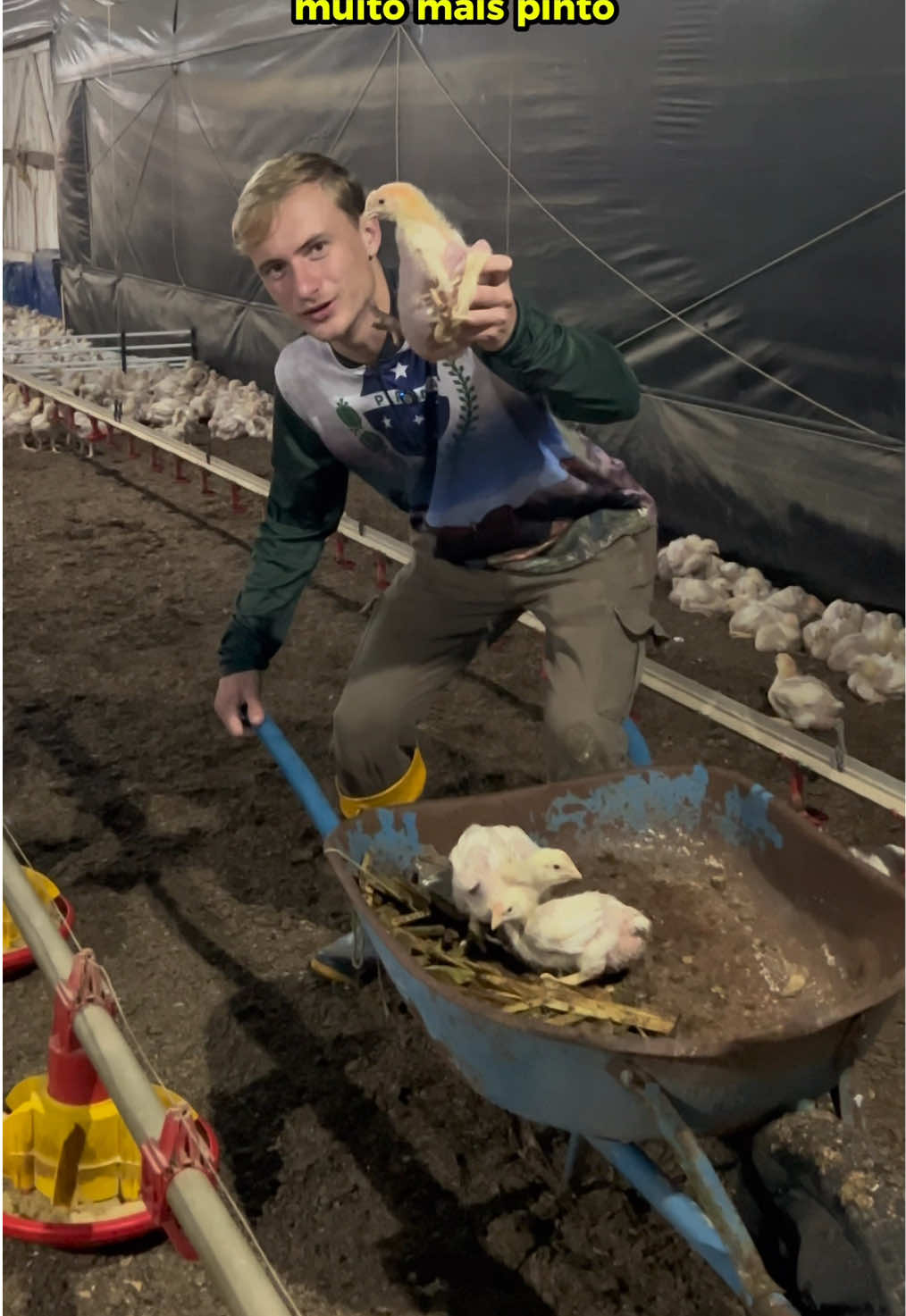 Qual é a melhor forma de levar pinto?🐥