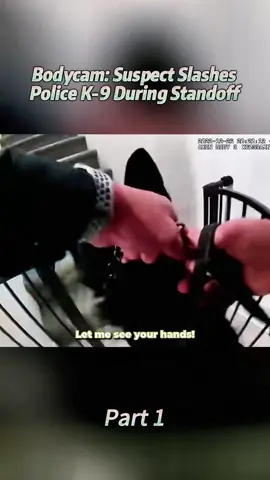 #bodycam #cops #police #foryou #1 #2 #viral #fyp 