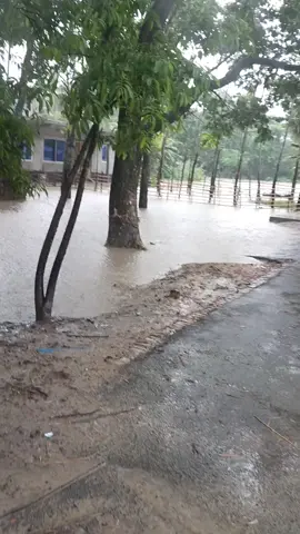 #creatorsearchinsights  #মিনি_কক্সবাজার #tiktok #যশোর #viralvideo 