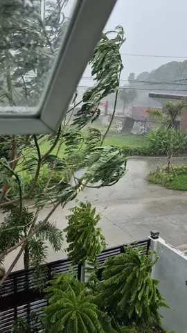 #supertyphoon 