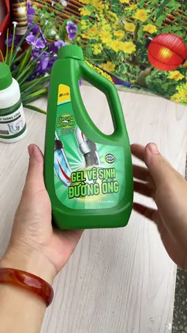 #gelvesinhduongong 