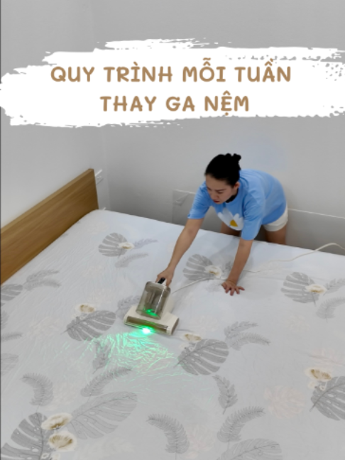 Trợ thủ dọn sạch giường nệm #DreameVietNam #DreameD20Aura #mayhutbuigiuongnem #dondepnhacua #dogiadung #cannhakhacla