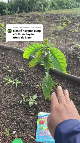 Trả lời @Tiến Quyền ok bác ơi 