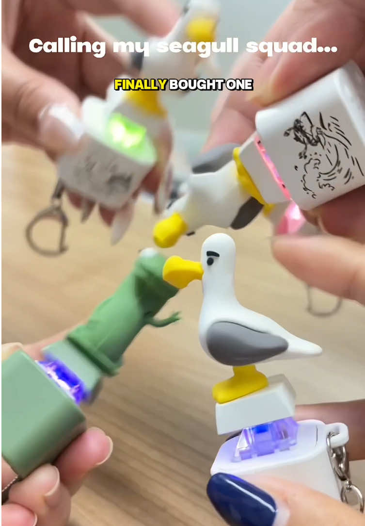 Who doesn’t have this seagull keychain yet ?Mine Mine Mine !#funnygift #seagullbutton #seagulls #fidgettoys #fyp 