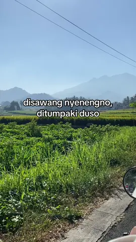 #fyp 