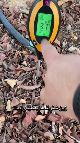 ليش زرعك يموت بالصيف؟ السر بالماي! 🌳💧 شرحت لكم شلون تعرفون متى تسقون بجهاز قياس الرطوبة عشان ما تخسرون زرعكم. وبنهاية الفيديو تجهيز طلبات “خلطة مزرعتنا” لأحد الزباين 📦🌿 للطلب الرابط بالبايو، أو اكتب (متجر) بالتعليقات ويوصلك الرابط خاص 👇 #زراعة #الكويت #مزرعتنا #حدائق #سماد   