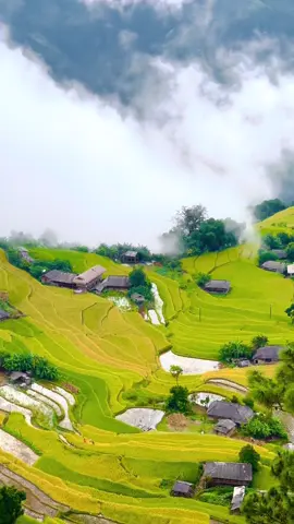 Có những nơi đẹp đến vô thực , Hoàng Su phì - Hà Giang ❤️🇻🇳🇻🇳🇻🇳#hagiang #hoangsuphi #mualua #chuphinh #phototour