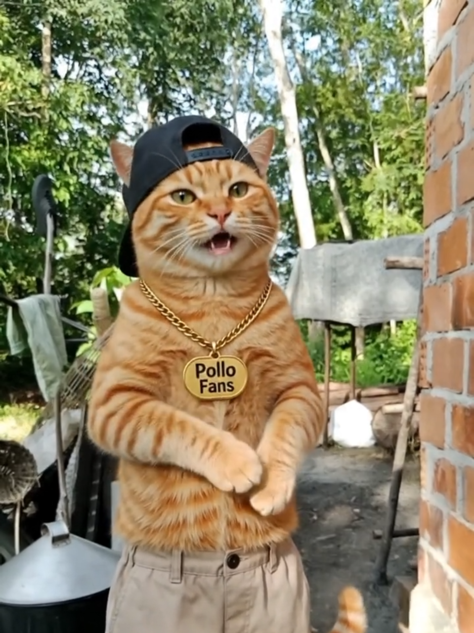 Anda punya masalah? Itu urusan Anda, bukan urusanku #oyen #kucing #kocak #ngakak #lucu 
