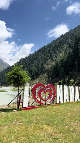 NARAN 🌲🏔️✨ #foryou #foryoupage #adeelislam #unfrezzmyaccount #TheSakoonExperience 