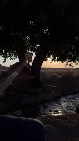 Çuka serê darê  #saz #kurdish #kurdishsaz #bağlama #baglamavideoları 