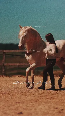#يا غالي الأثمان #محمد عبده#تصميمي #إكسبلوررررررر_explore 