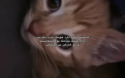 #foryou #foryoupage #d3355.a#d #rasty_lak 