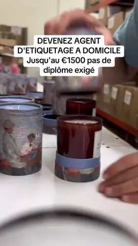 #travailadomicile #france #travail #revenusupplementaire #travailenligne 