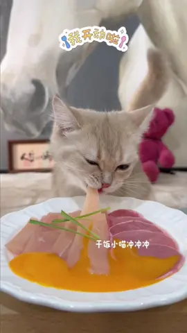 #cateating #asmreating #rawfedcat #catfood #catmukbang 